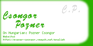 csongor pozner business card